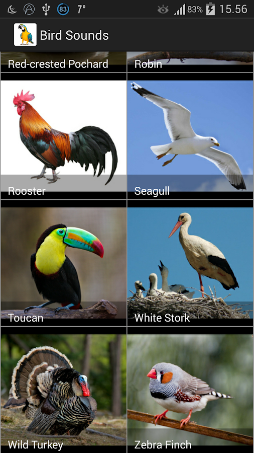 Bird Sounds Android Apps on Google Play