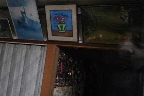 Download 心霊カメラ APK for PC