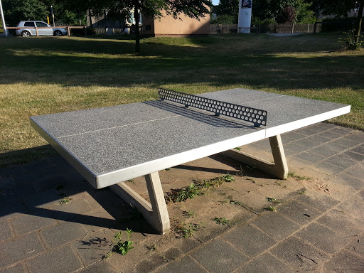 The Stone Pingpong table