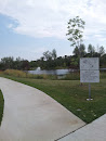 Marianne Williams Park, North Entrance