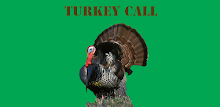 Turkey Call Free by K Solution APK