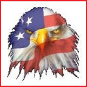 M16A1 Rifle CARTOON Manual.apk 1.0