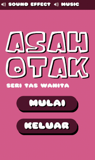 Asah Otak Seri Tas Wanita