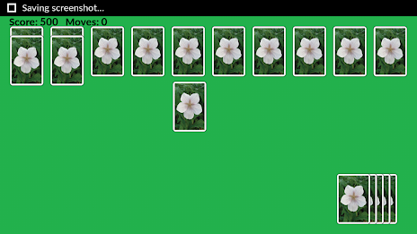 Pro Spider Solitaire free poster 4