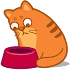 Cats Widget1.0.4