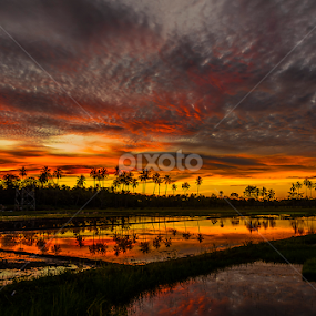 Clouds reflection by Jee Cornelius - Landscapes Cloud Formations
