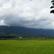 關山肉圓