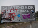 Skate Park Castelnau 