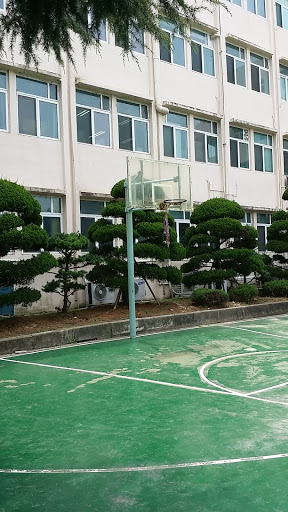 Basketball Play Ground