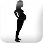 Cover Image of Descargar Widget de vigilancia del embarazo 1.9.3.2 APK