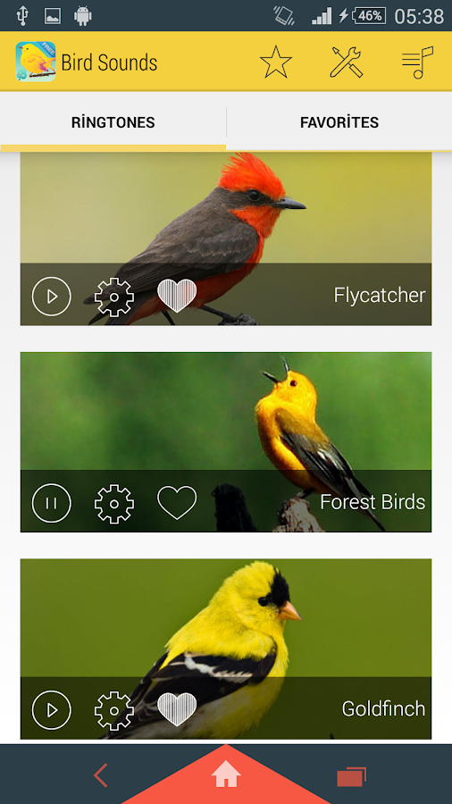 Bird call ringtones free download