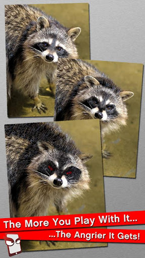 Angry Raccoon Free