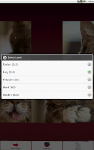 Cats Puzzle Screenshots 2