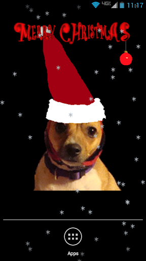 Santa Dog Live Wallpaper