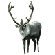 Reindeer Front Sticker APK