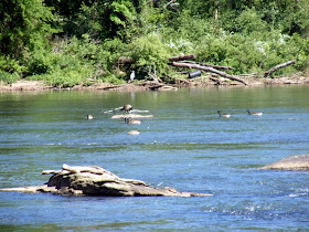 Cochran Shoals