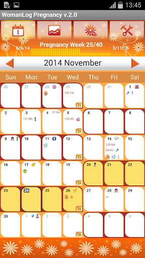 WomanLog Pregnancy Calendar