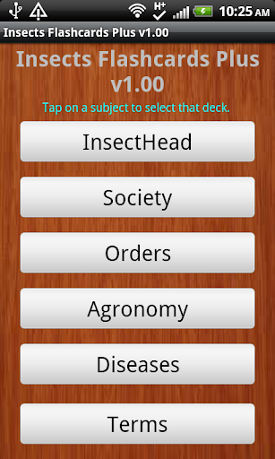 Insects Flashcards Plus