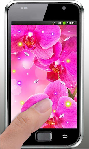 【免費個人化App】Best Orchid HD live wallpaper-APP點子