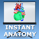 Thorax Anatomy Lectures