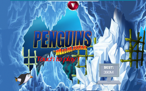 Penguins in Madagascar Sea