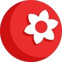 Anar icon