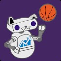 Albany Football & Basketball logo