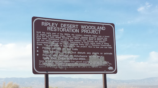 Ripley Desert Woodland Restoration Project