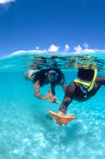 snorkel-bay-starfish-st-croix-US-Virgin-Islands - Snorkelers gliding through one of the many lagoons on St. John, U.S. Virgin Islands, find a brilliant starfish.