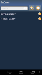 Russian Holy Bible poster 1