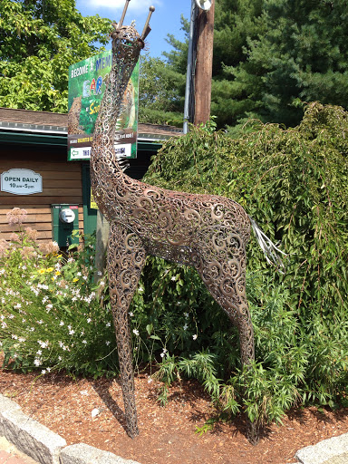 Southwick Zoo Metal Giraffe Sculpture