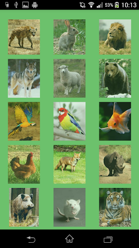 【免費教育App】Animal Sounds For Kids - 2014-APP點子