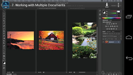 Basic Photoshop - Udemy Course poster 4