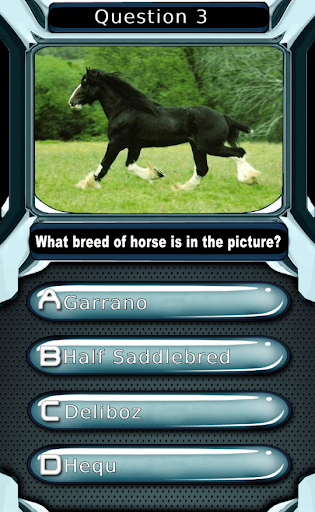 【免費益智App】My Horse & Pony Breeds Quiz HD-APP點子