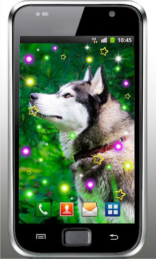 Pet Dog Free live wallpaper