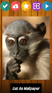 Download Monkey jigsaw puzzle game APK for PC