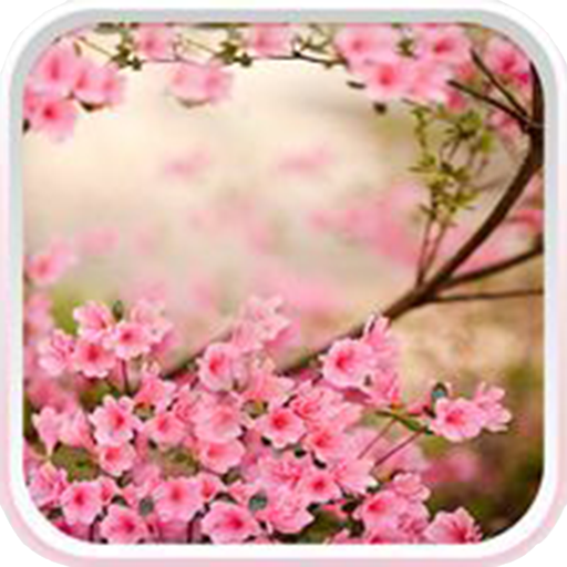 Spring Flowers Live Wallpaper 攝影 App LOGO-APP開箱王