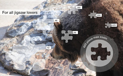 Grizzly Bear Jigsaws Demo poster 6