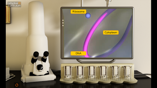 DNA to Protein Synthesis Screenshots 1