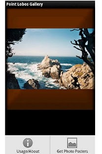 How to install Point Lobos Gallery lastet apk for laptop
