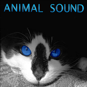 Animal Sound.apk 1.0