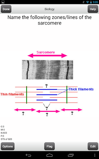 Pre-Med MCAT Flashcards