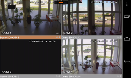 LUPUS SmartVision poster 7