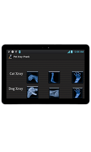 Pet Xray- Prank