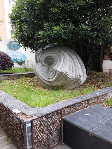 Shell Sculpture