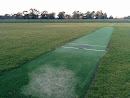 Duffy Community Cricket 