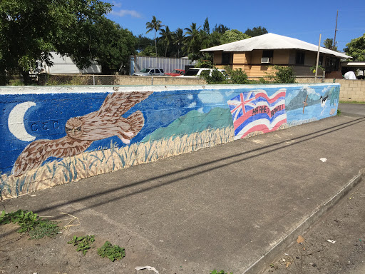 Ha'aheo Hawaii Bridge Mural
