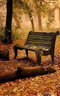 How to mod Autumn Live Wallpaper 1.0.0 unlimited apk for bluestacks