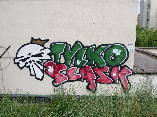 Tylko Slask - Mural