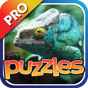 Lizards & Reptiles Puzzles Pro logo